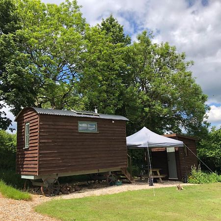 The Shepherds Hut At The Shippen, Tiphayes 霍尼顿 外观 照片